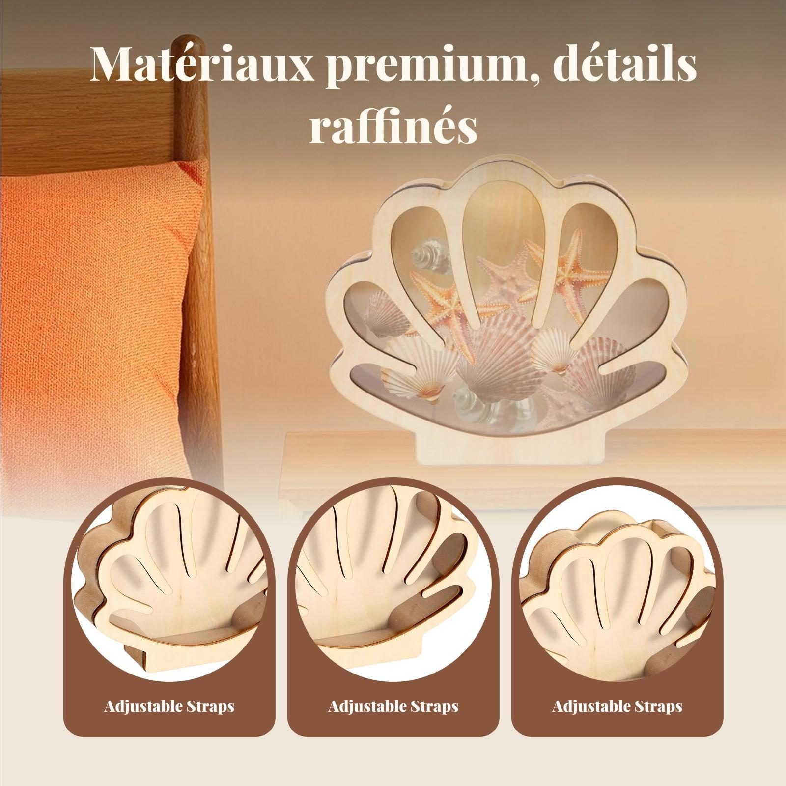 กล่องโชว์เปลือกหอยไม้ กล่องเก็ - Collectors Coins Jewelry & Watches Of Smithtown Reviews บทวิจารณ์และราคา